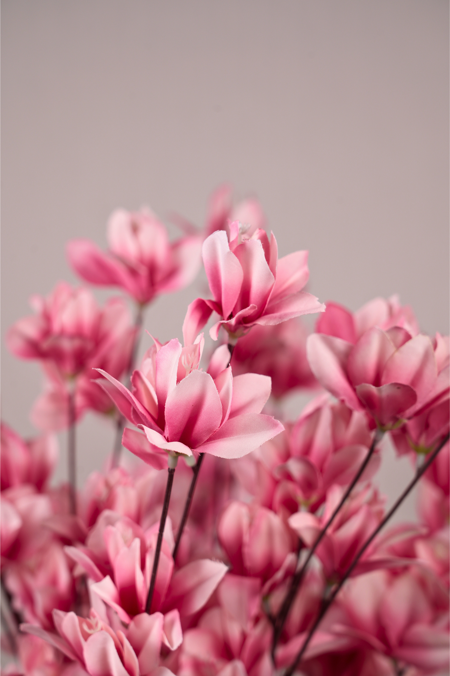 Faux Magnolia Spray Yulan Flower Stem - Pink