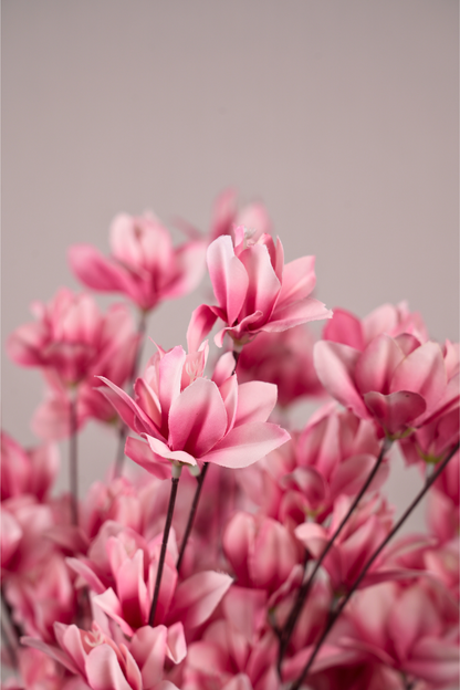 Faux Magnolia Spray Yulan Flower Stem - Pink