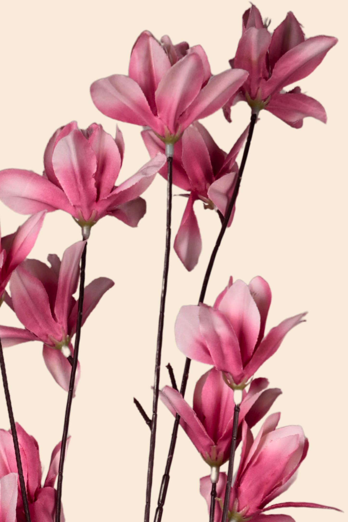 Faux Magnolia Spray Yulan Flower Stem - Pink