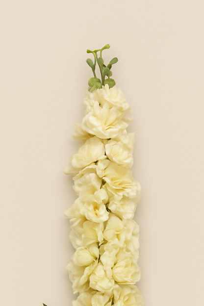 Faux Delphinium Enchanted Flower Stem - Cream