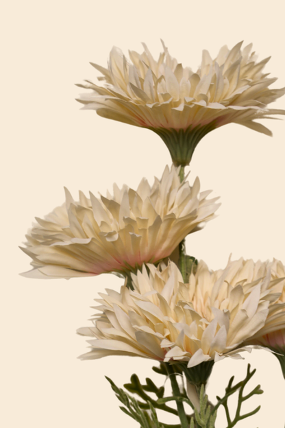 Faux Gerbera Daisy Graceful Flower Stem - Light Brown