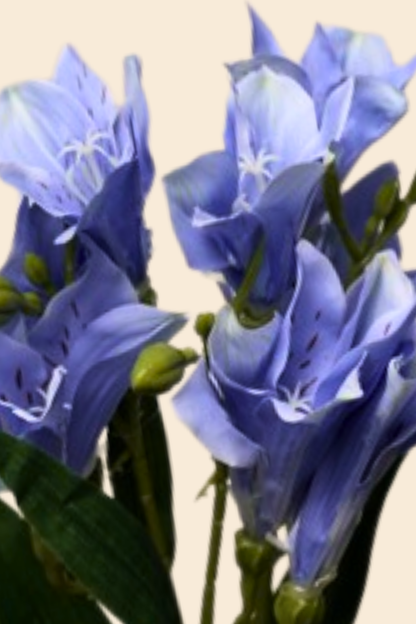 Faux Alstroemeria Peruvian Lily Blooming Flower Stem - Blue