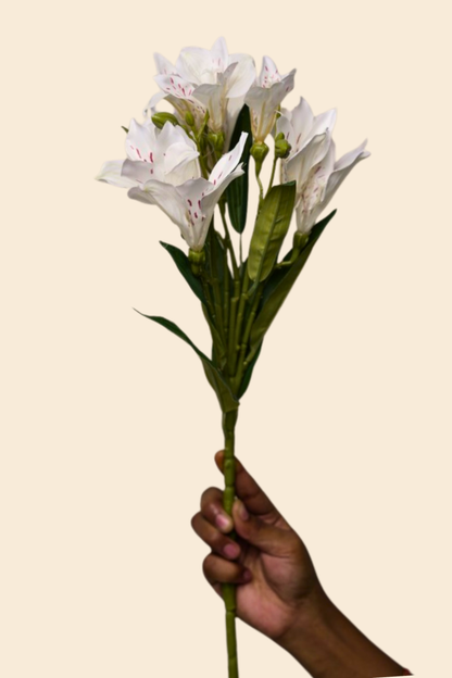 Faux Alstroemeria Peruvian Lily Blooming Flower Stem - Cream