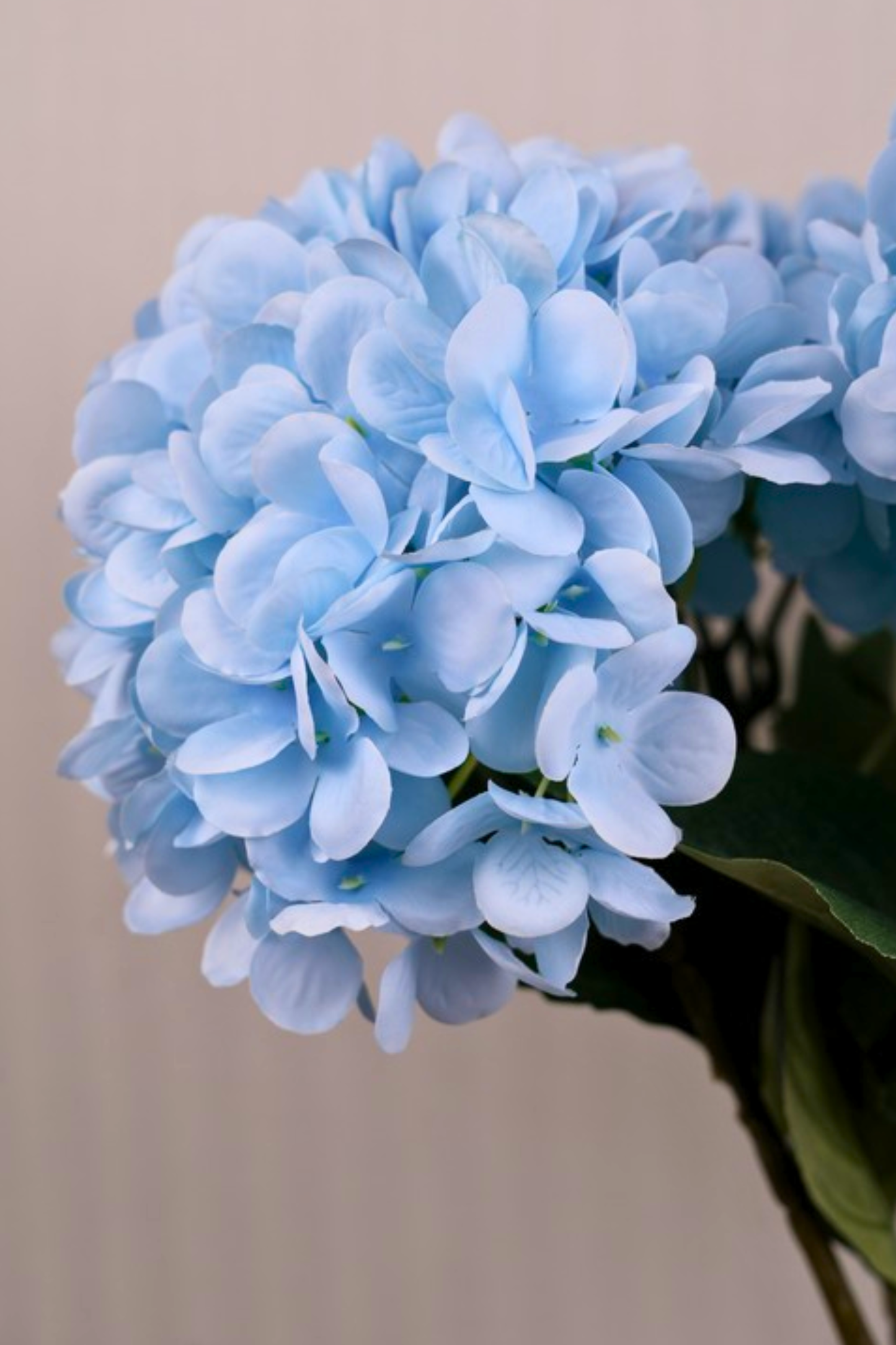 Faux Single Large Hydrangea Classic Flower Stem - Blue