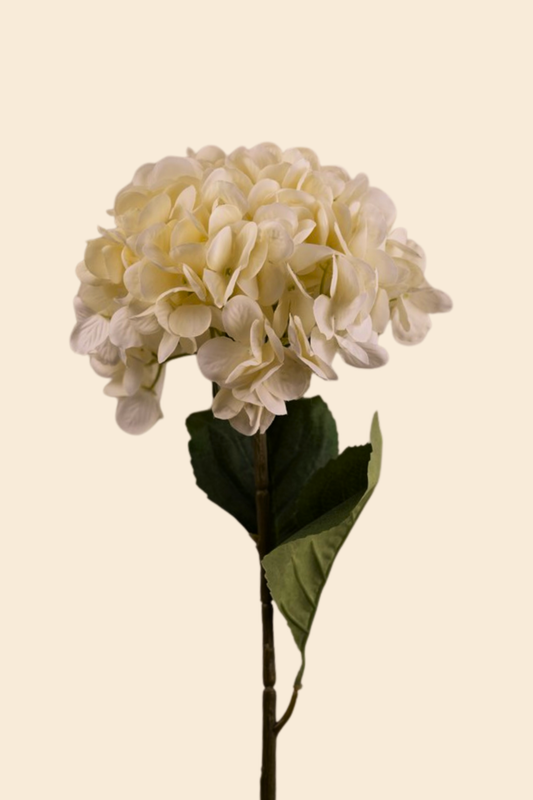 Faux Single Large Hydrangea Classic Flower Stem - Light Yellow