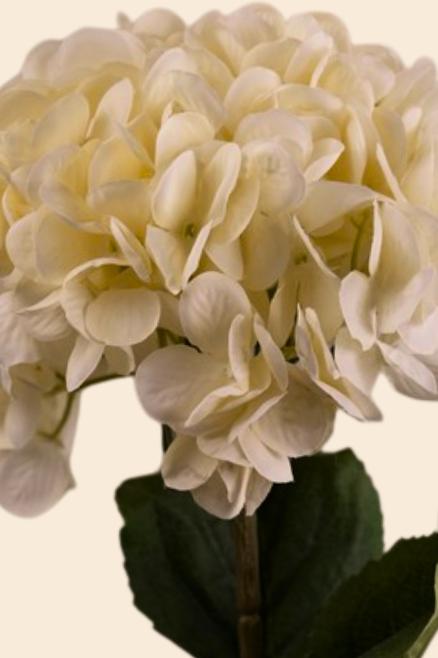 Faux Single Large Hydrangea Classic Flower Stem - Light Yellow