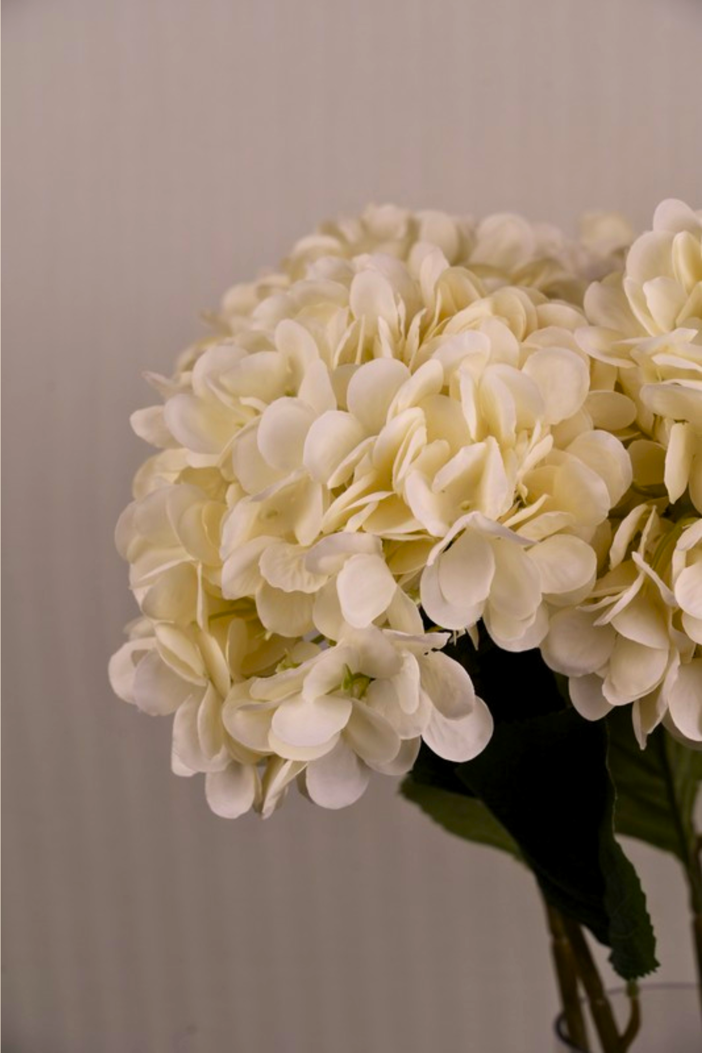 Faux Single Large Hydrangea Classic Flower Stem - Light Yellow