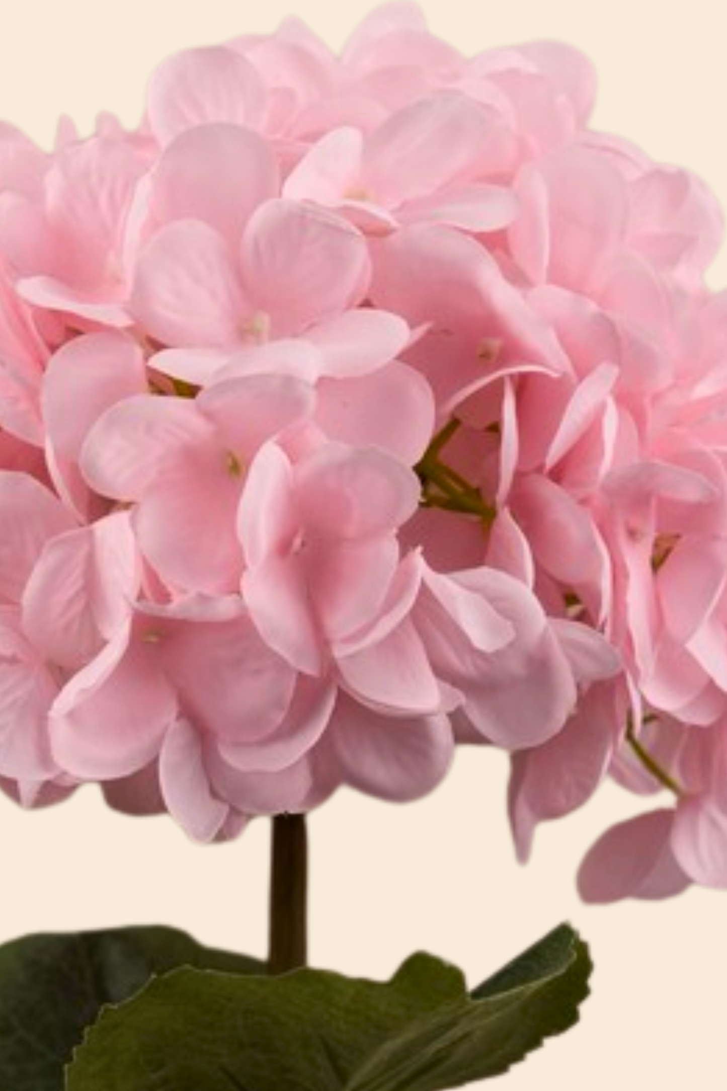 Faux Single Large Hydrangea Classic Flower Stem - Pink