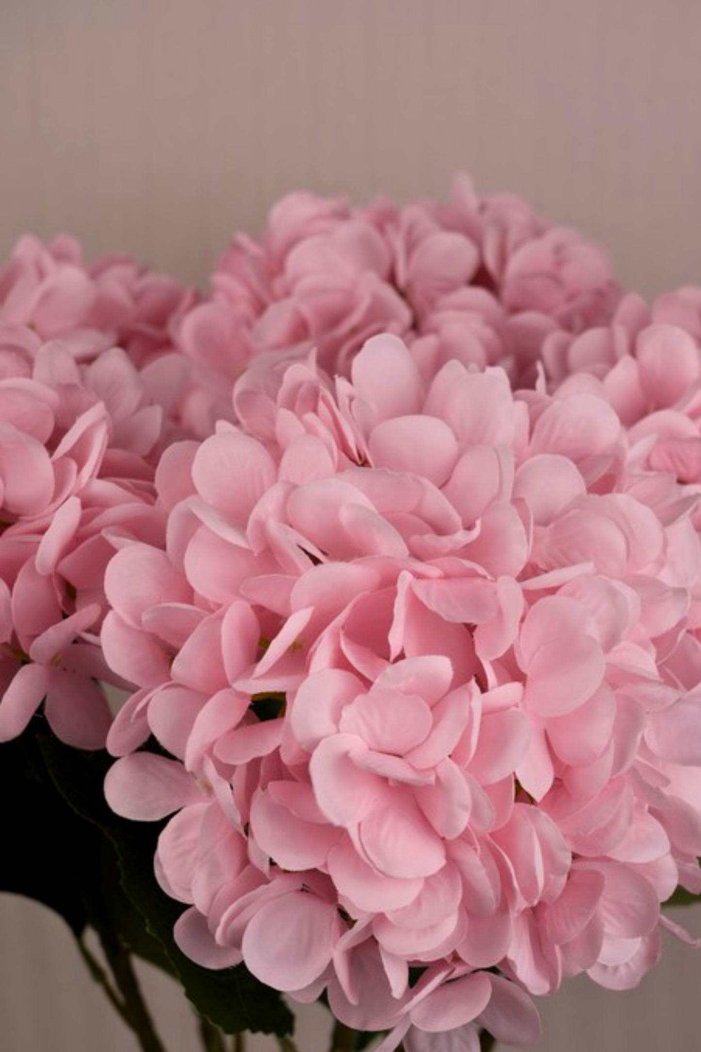 Faux Single Large Hydrangea Classic Flower Stem - Pink