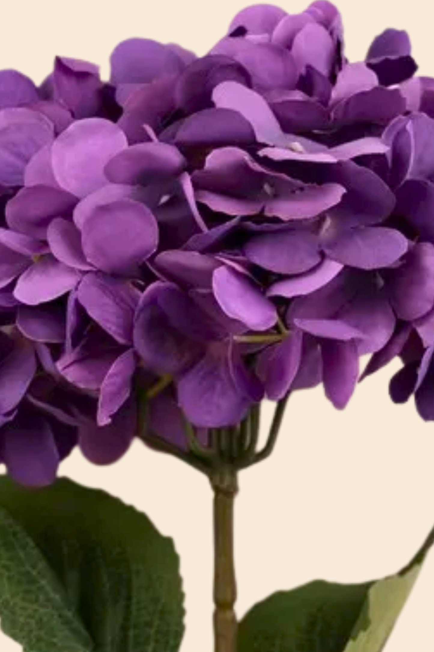 Faux Single Large Hydrangea Classic Flower Stem - Purple