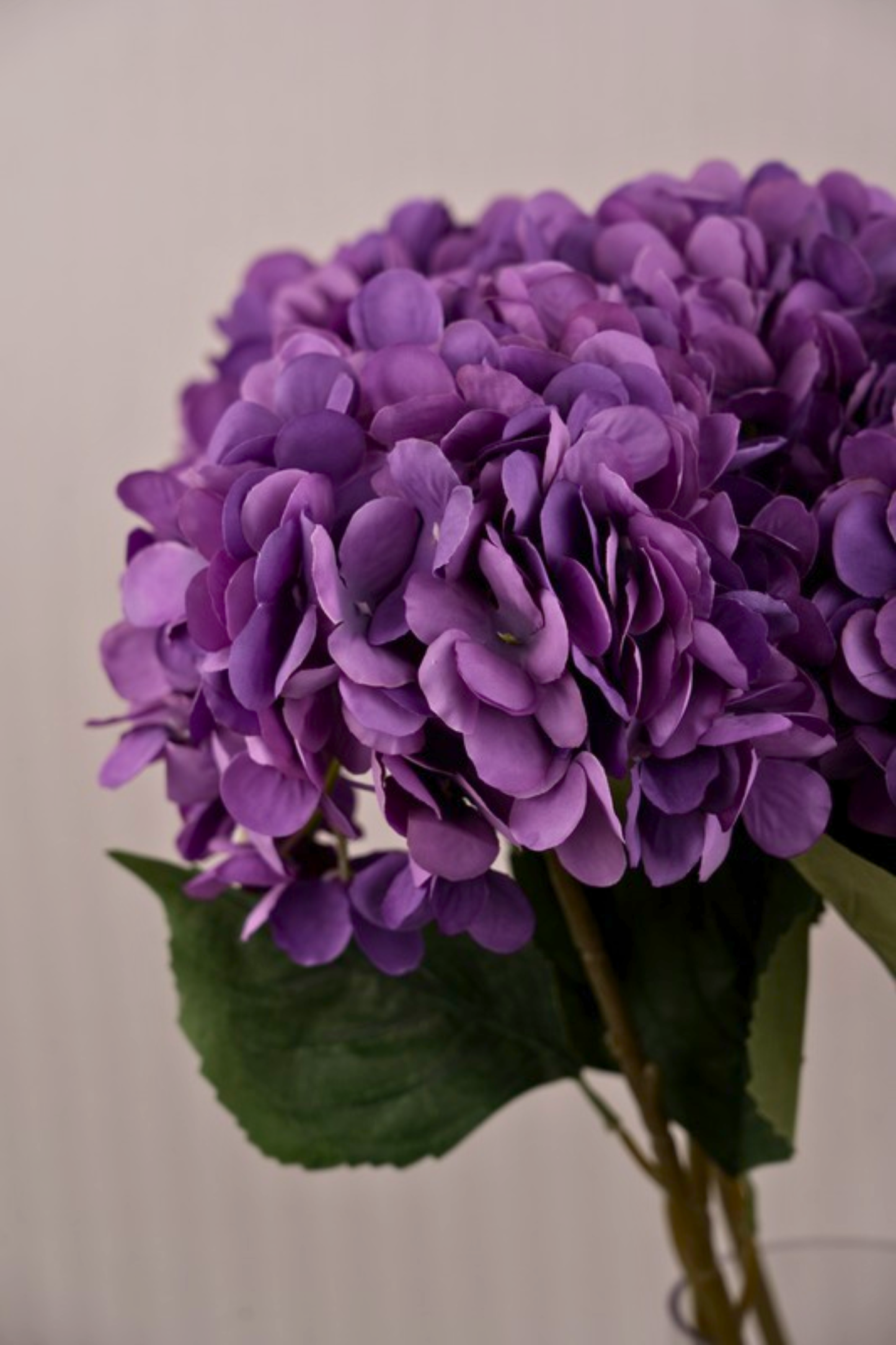 Faux Single Large Hydrangea Classic Flower Stem - Purple