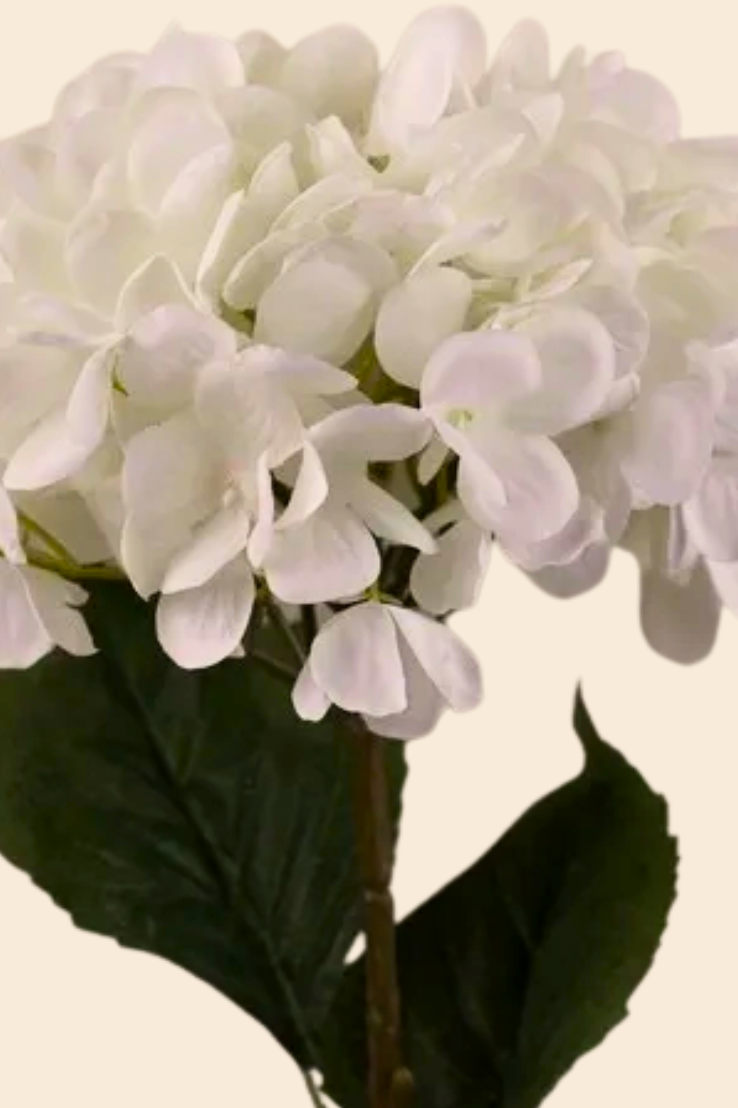 Faux Single Large Hydrangea Classic Flower Stem - White