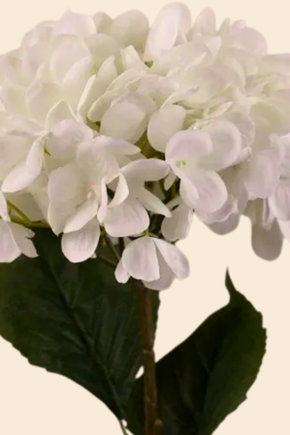 Faux Single Large Hydrangea Classic Flower Stem - White