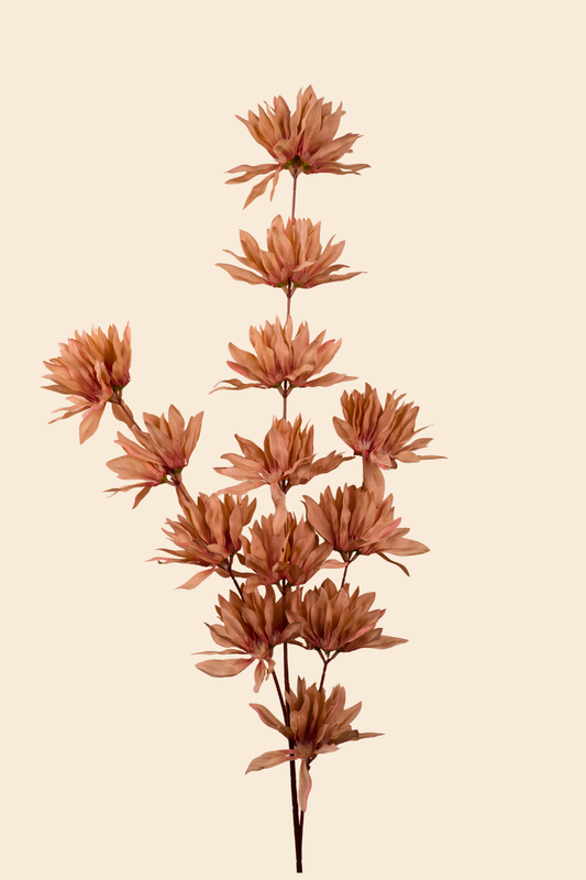 Faux Spider Chrysanthemum Whisper Flower Stem - Brown