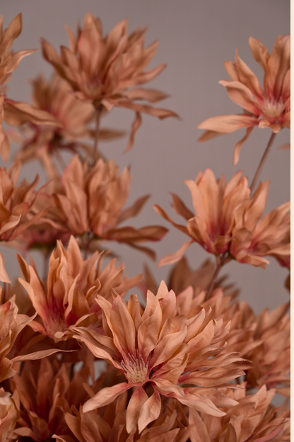 Faux Spider Chrysanthemum Whisper Flower Stem - Brown