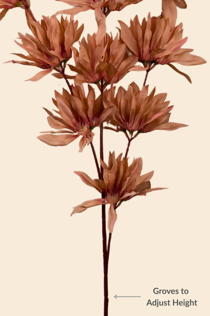Faux Spider Chrysanthemum Whisper Flower Stem - Brown
