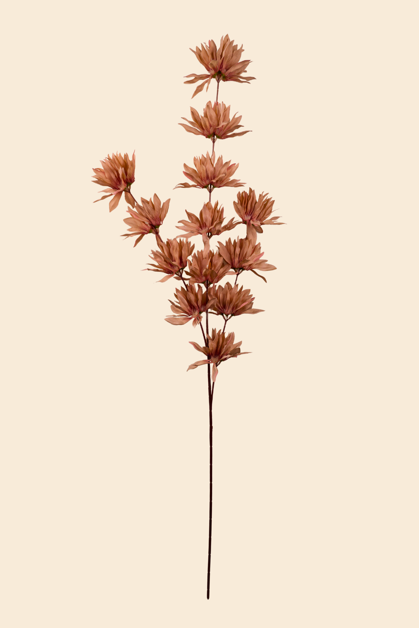 Faux Spider Chrysanthemum Whisper Flower Stem - Brown