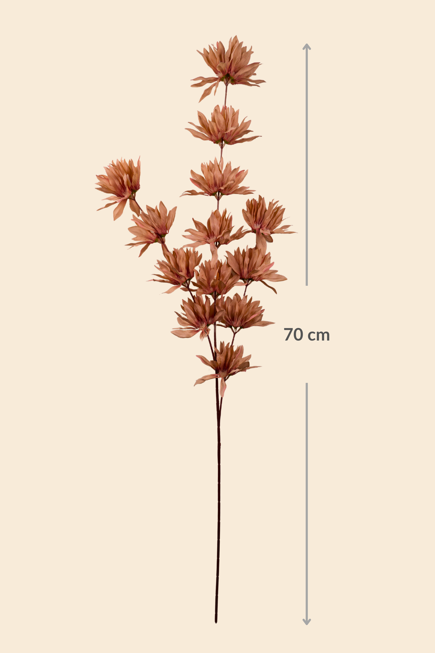 Faux Spider Chrysanthemum Whisper Flower Stem - Brown