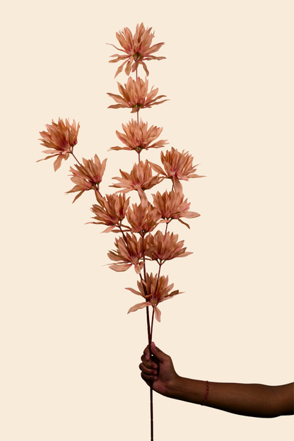 Faux Spider Chrysanthemum Whisper Flower Stem - Brown