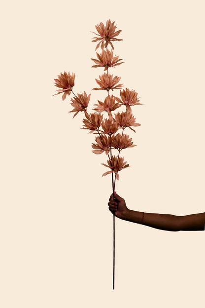 Faux Spider Chrysanthemum Whisper Flower Stem - Brown