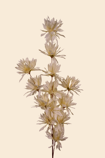 Faux Spider Chrysanthemum Whisper Flower Stem - Light Yellow