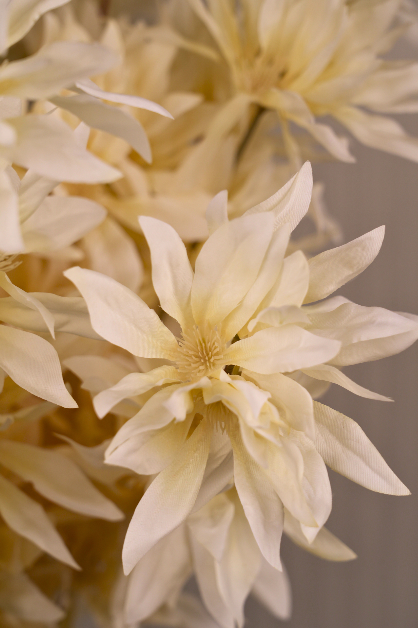 Faux Spider Chrysanthemum Whisper Flower Stem - Light Yellow