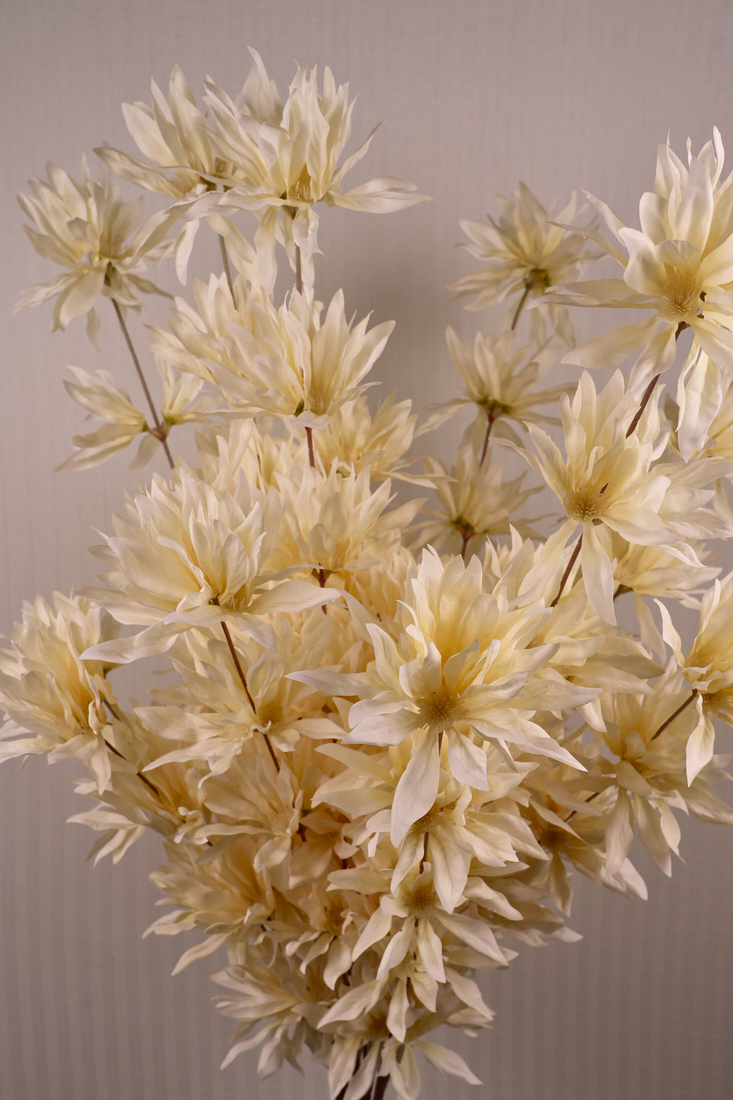 Faux Spider Chrysanthemum Whisper Flower Stem - Light Yellow