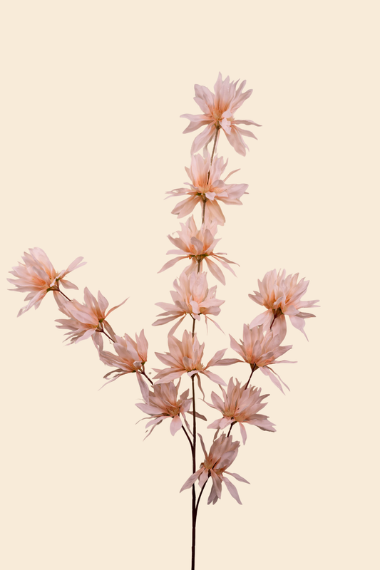 Faux Spider Chrysanthemum Whisper Flower Stem - Peach