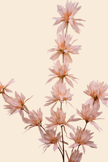 Faux Spider Chrysanthemum Whisper Flower Stem - Peach