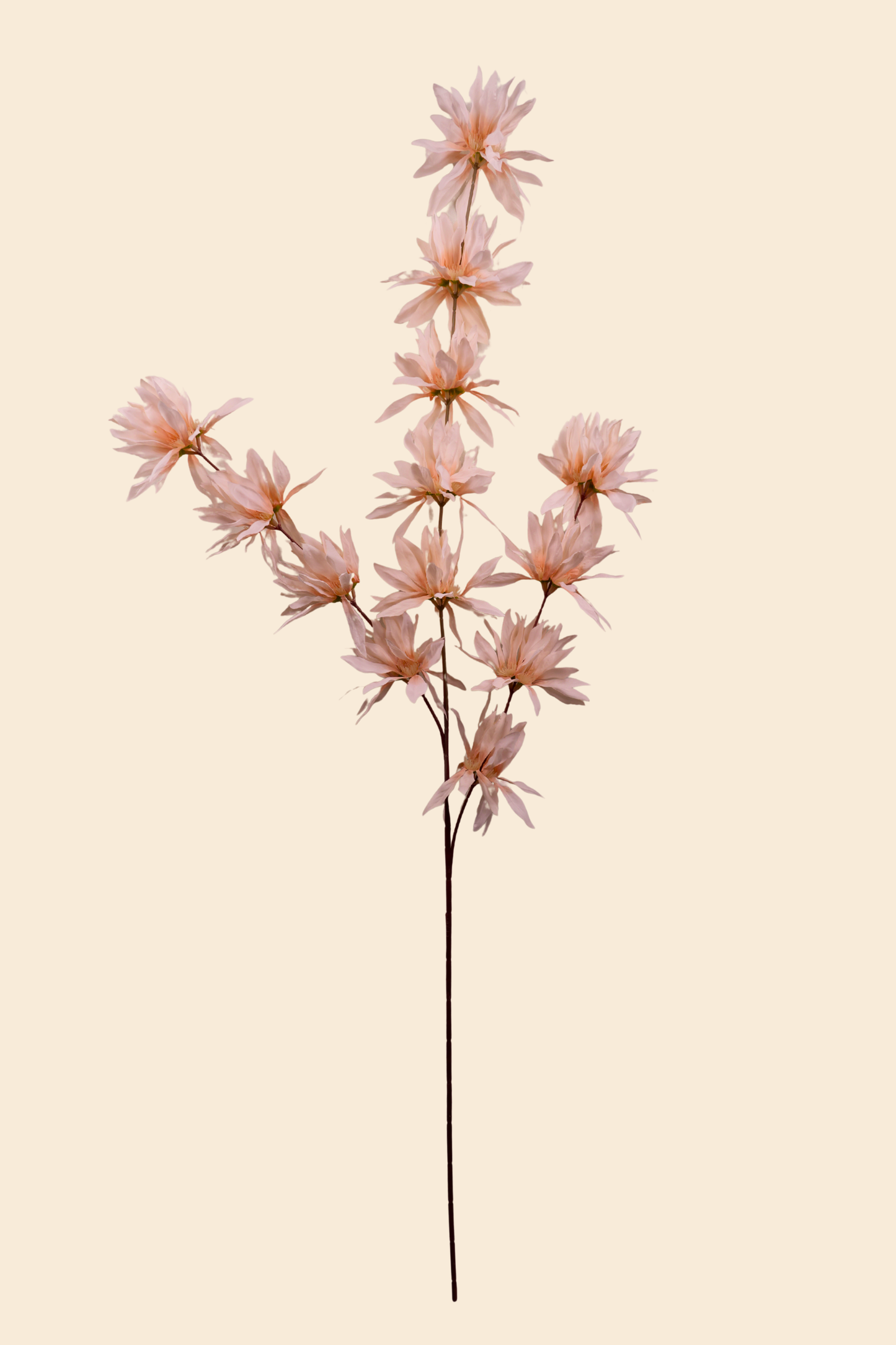 Faux Spider Chrysanthemum Whisper Flower Stem - Peach