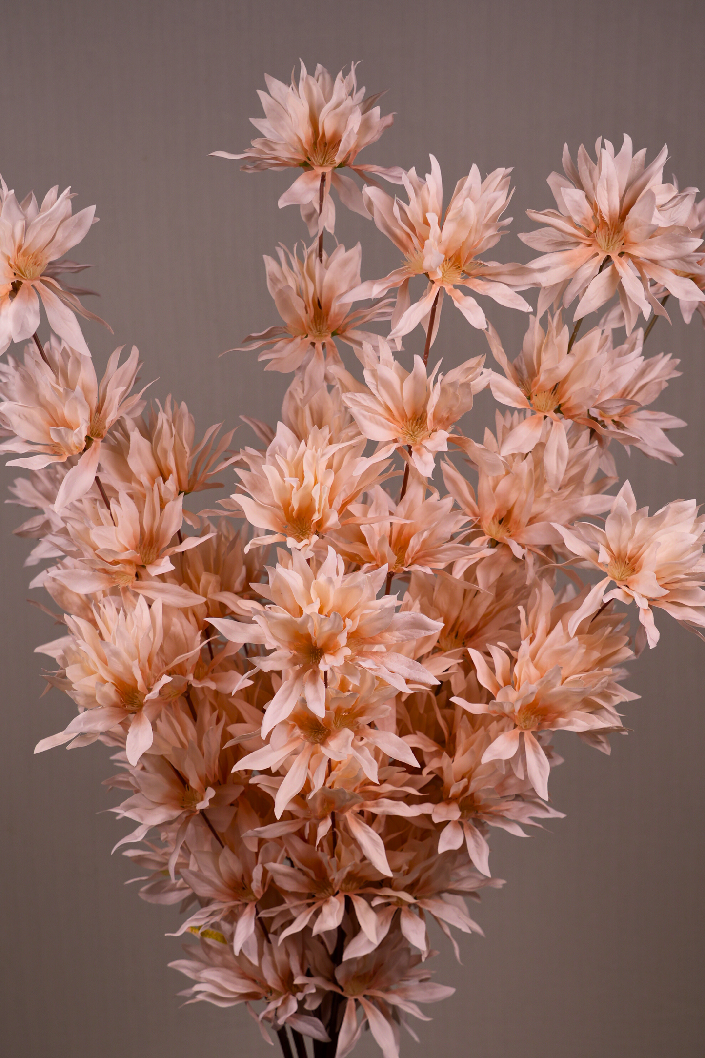 Faux Spider Chrysanthemum Whisper Flower Stem - Peach