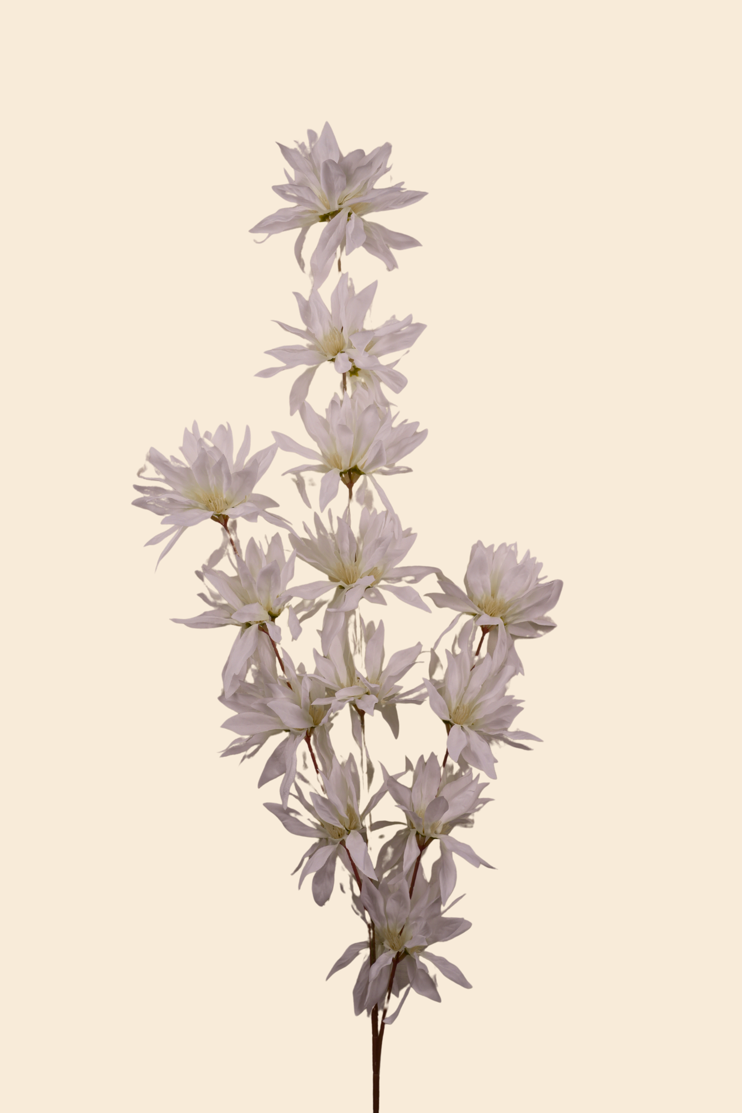 Faux Spider Chrysanthemum Whisper Flower Stem - White