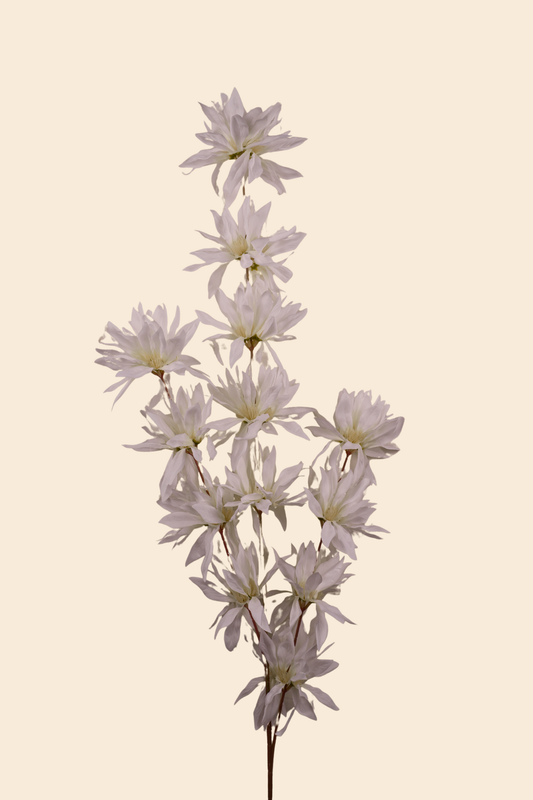 Faux Spider Chrysanthemum Whisper Flower Stem - White