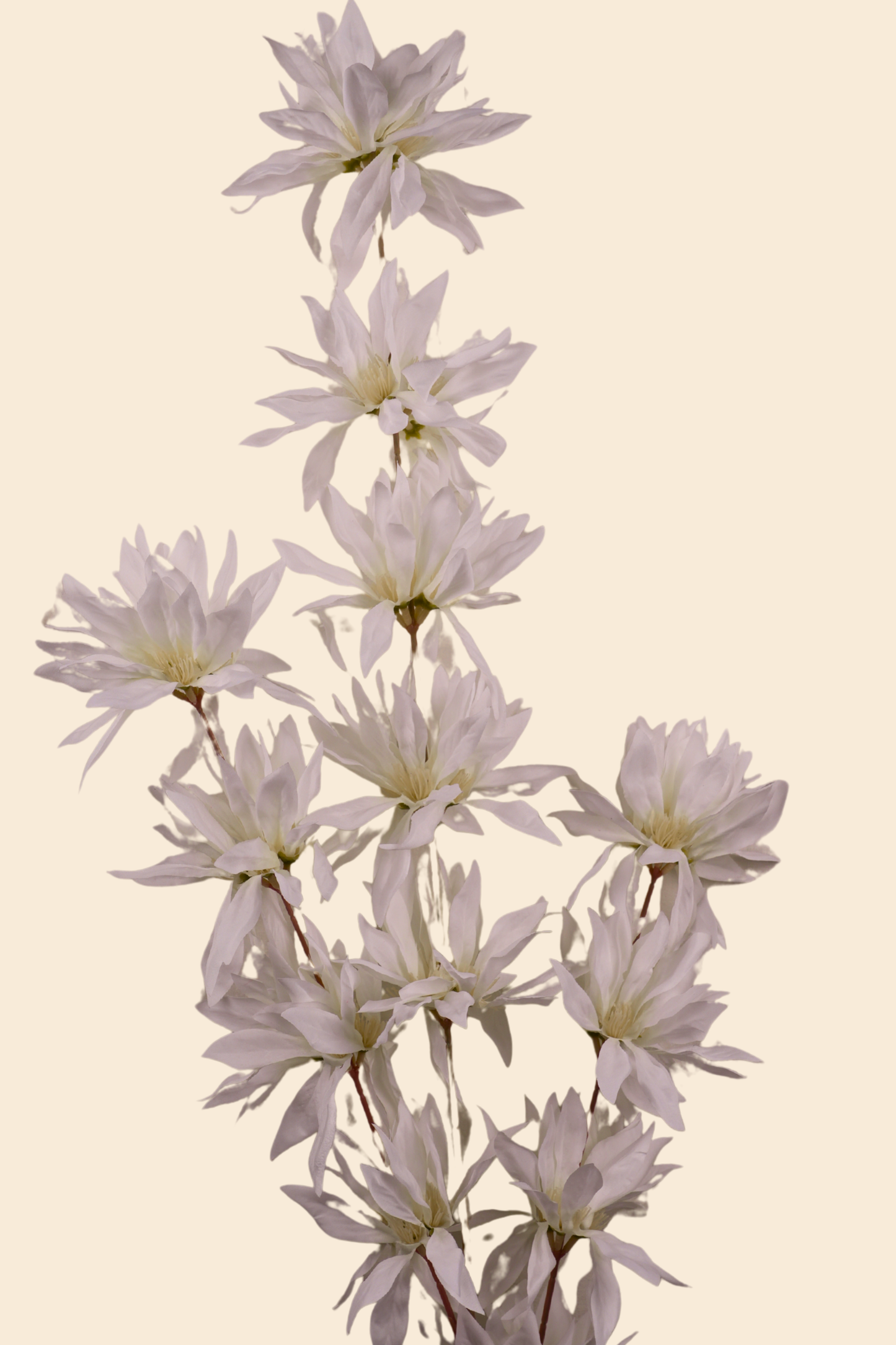 Faux Spider Chrysanthemum Whisper Flower Stem - White