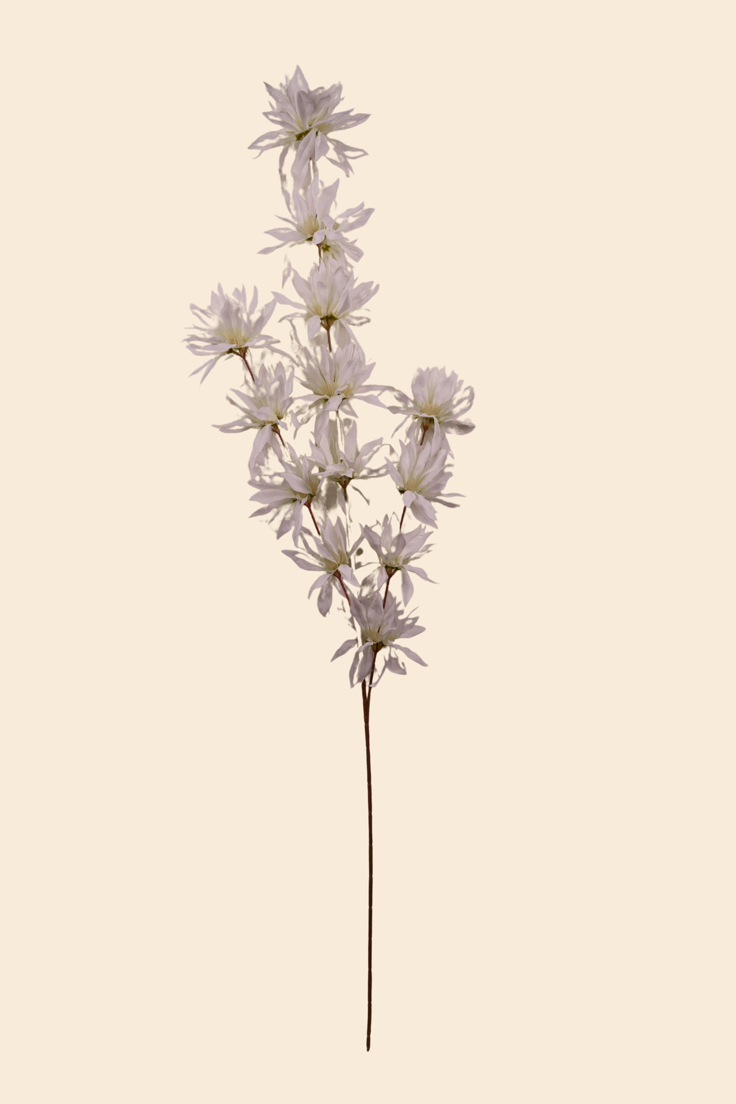 Faux Spider Chrysanthemum Whisper Flower Stem - White