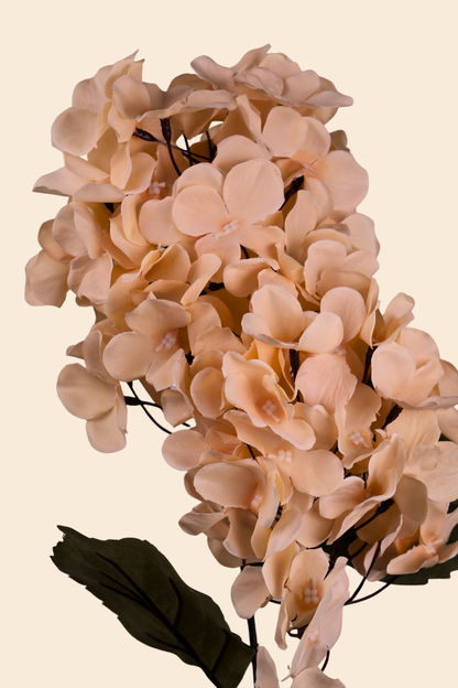 Faux Hydrangea Bloom Cluster Flower Stem - Light Brown