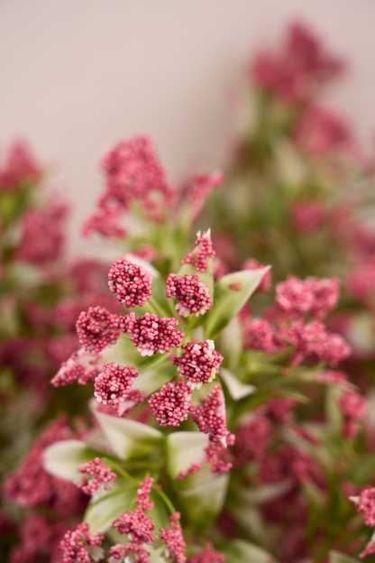 Faux Gypsophila Babys Breath Flower Stem - Dark Pink