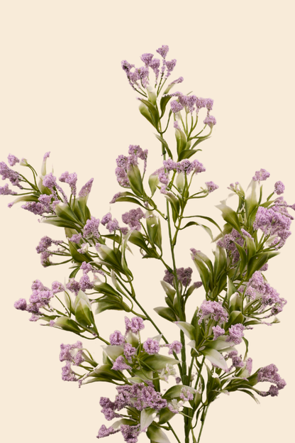 Faux Gypsophila Babys Breath Flower Stem - Lavender