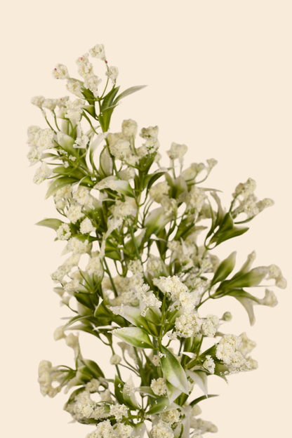 Faux Gypsophila Babys Breath Flower Stem - White