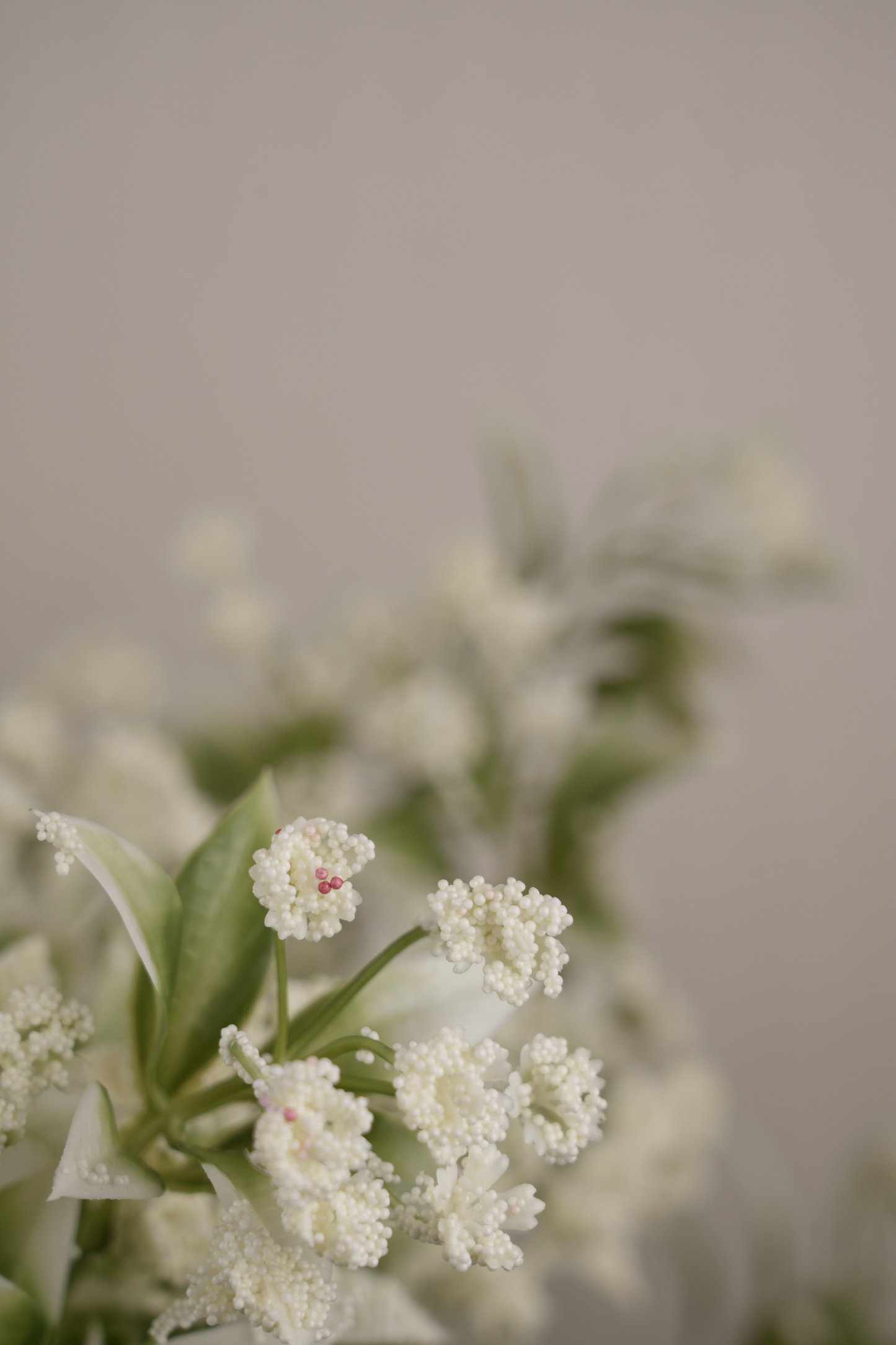 Faux Gypsophila Babys Breath Flower Stem - White