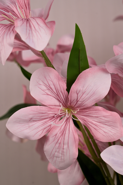 Faux Clemantis Azure Flower Stem - Light Pink