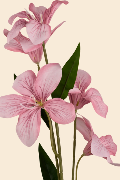 Faux Clemantis Azure Flower Stem - Light Pink