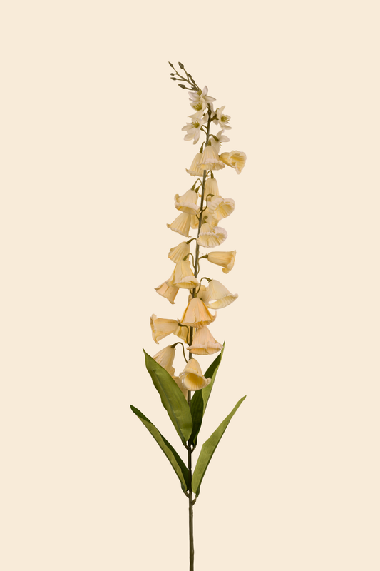 Faux Campanula Bell Flower Flower Stem - Cream