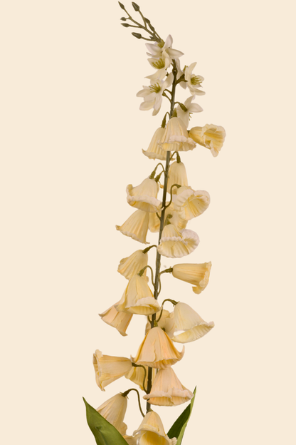 Faux Campanula Bell Flower Flower Stem - Cream