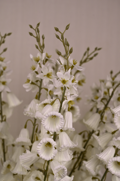 Faux Campanula Bell Flower Flower Stem - White