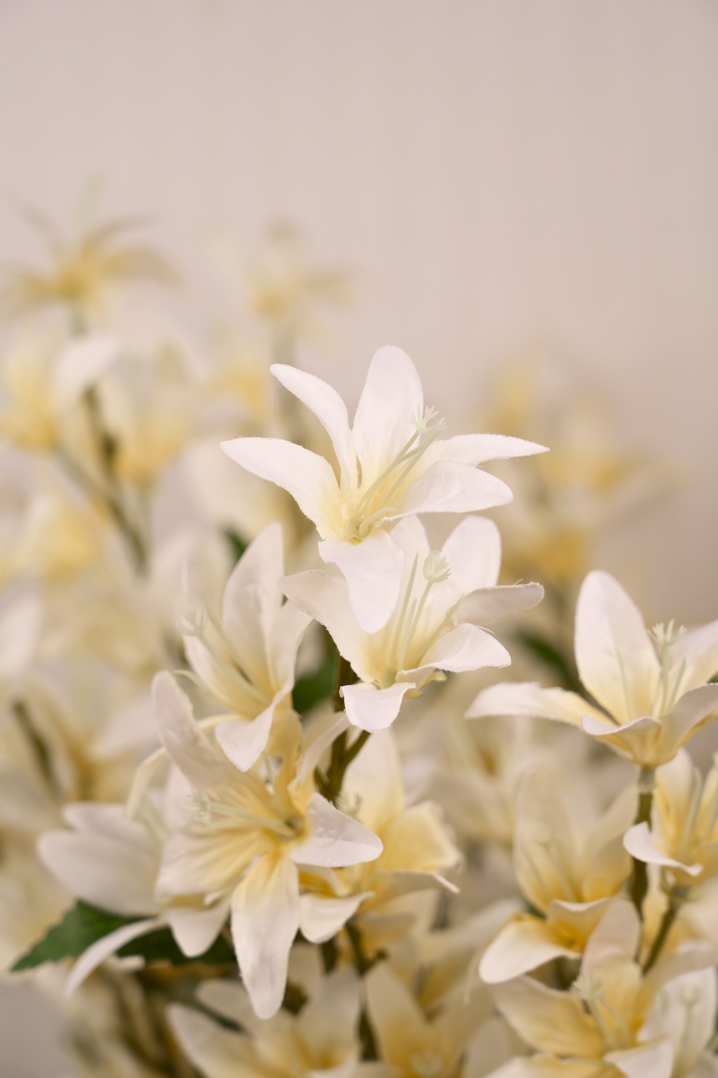 Faux Clematis Spray Star Flower Stem - Light Yellow