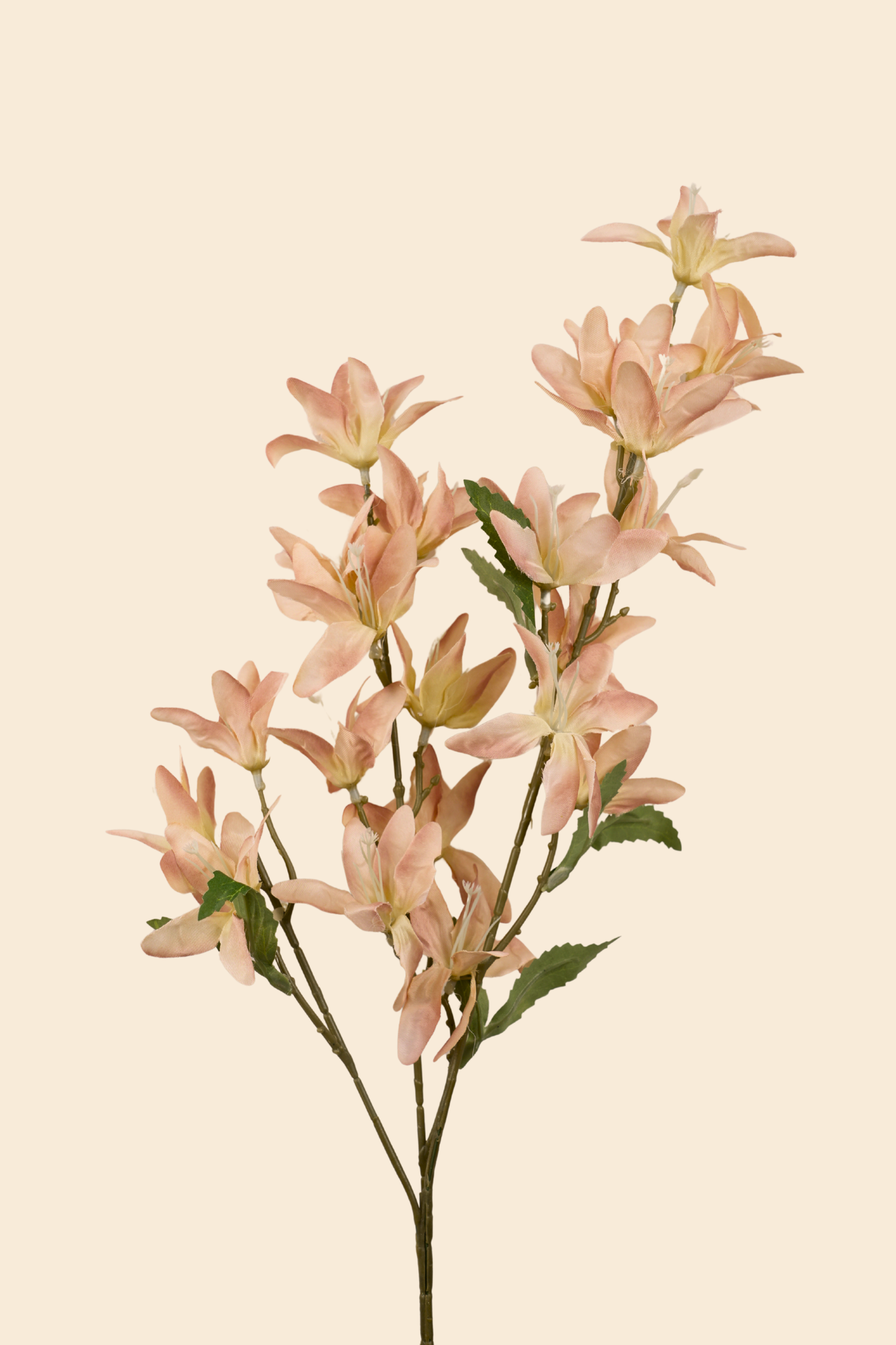 Faux Clematis Spray Star Flower Stem - Light brown