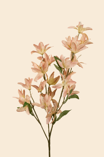 Faux Clematis Spray Star Flower Stem - Light brown