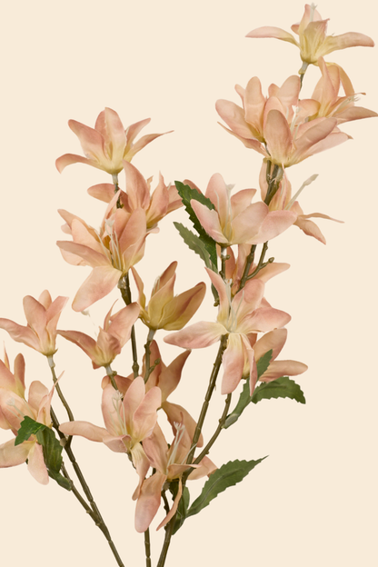 Faux Clematis Spray Star Flower Stem - Light brown