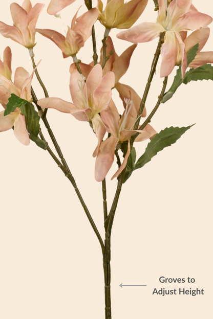 Faux Clematis Spray Star Flower Stem - Light brown